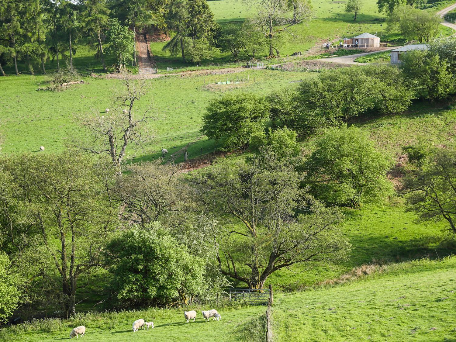 Rolling Hills Villa Newcastle  Ngoại thất bức ảnh