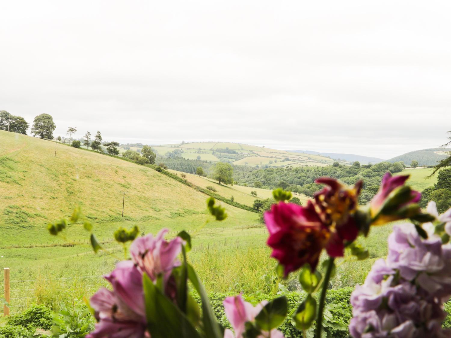 Rolling Hills Villa Newcastle  Ngoại thất bức ảnh